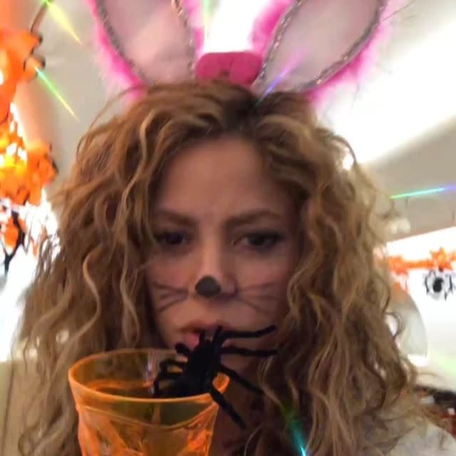 Shakira fue una gata-coneja para Halloween. <a href="https://www.instagram.com/shakira/?hl=en" rel="nofollow noopener" target="_blank" data-ylk="slk:Foto: Shakira/Instagram;elm:context_link;itc:0;sec:content-canvas" class="link ">Foto: Shakira/Instagram</a>