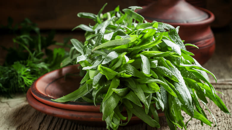 Bunch of fresh tarragon