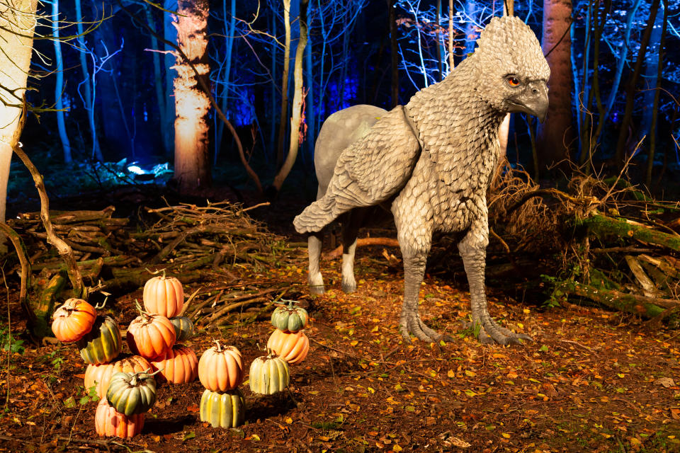 Meet Buckbeak and other magical creatures in Harry Potter: A Forbidden Forest Experience. (Photo: Warner Bros. Entertainment Inc. Publishing Rights © JKR)