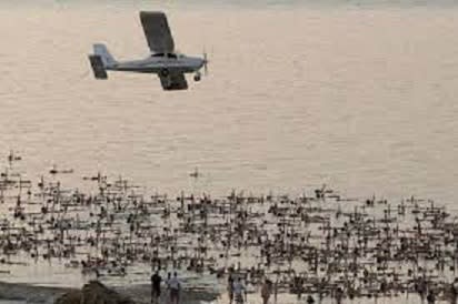 圖尼克租用小飛機拍攝1200進入死海場景。   圖 : 翻攝自KK New