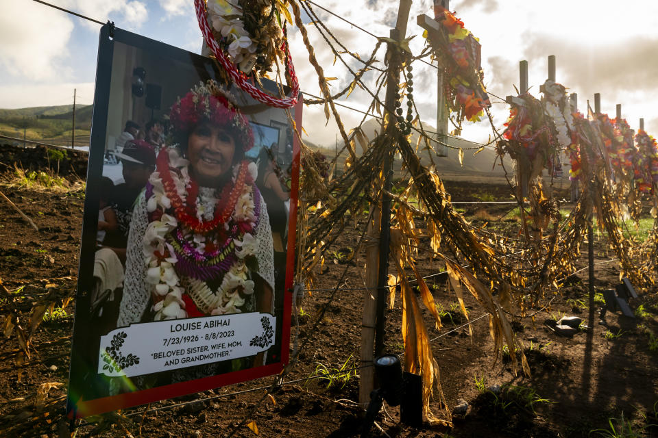 A photo of Louise Abihai is tied to a fence at a memorial for victims of the August wildfire above the Lahaina Bypass highway, Wednesday, Dec. 6, 2023, in Lahaina, Hawaii. The wildfire that tore through the heart of the Hawaii island of Maui this summer showed how older residents are at particular risk from disasters. Sixty of the 100 people killed in the Maui fire this summer were 65 or older. (AP Photo/Lindsey Wasson)