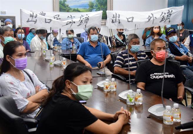 台東鳳梨釋迦銷中國大陸受阻，果農成立自救會到台東縣議會陳情，呼籲政府重啟大陸市場。（莊哲權攝）