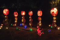 Jack O Lanterns