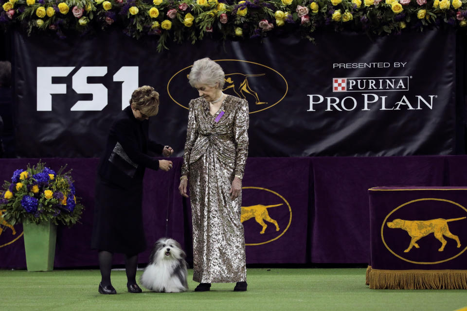 A judge examines "Oeste's in the Name of Love," a Havanese who won the toy group at the 143rd Westminster Kennel Club Dog show at Madison Square Garden in New York, Feb. 11, 2019. (Photo: Caitlin Ochs/Reuters)