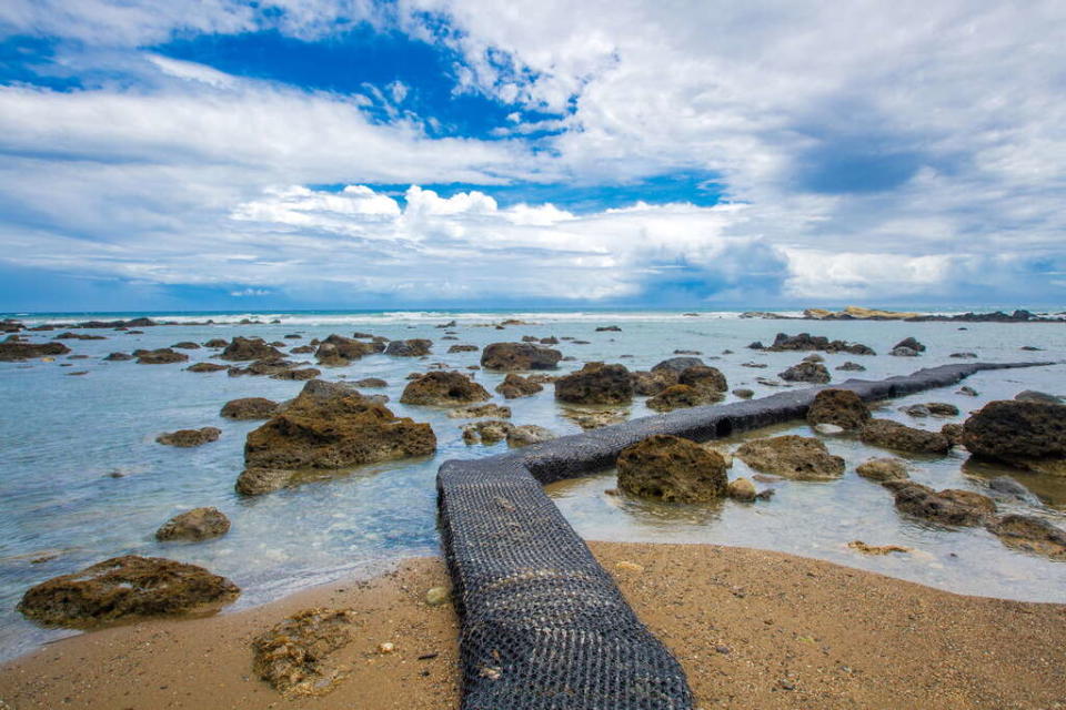 東海岸潮間帶生態豐富的海岸景點（圖片來源：台東觀光旅遊網）