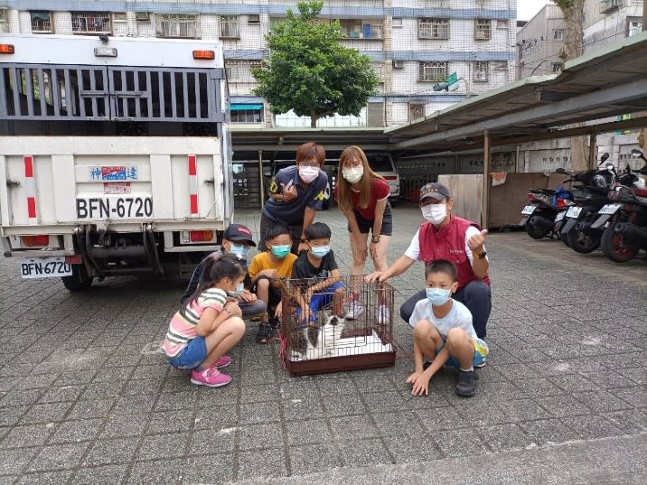 金美國小師生集氣，希望咪咪早日康復。    圖：新北市動保處提供