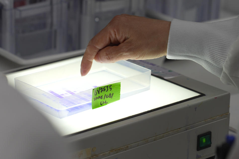 Scientists examine a step in the vaccine purification process as they design updates to the Novavax's COVID-19 shots in the company's research laboratory on May 24, 2022, in Gaithersburg, Md. The U.S. Food and Drug Administration is deciding whether to authorize use of Novavax’s more traditional kind of COVID-19 vaccine, which the company hopes can win over unvaccinated people and become a top choice for boosters. (AP Photo/Angie Wang)