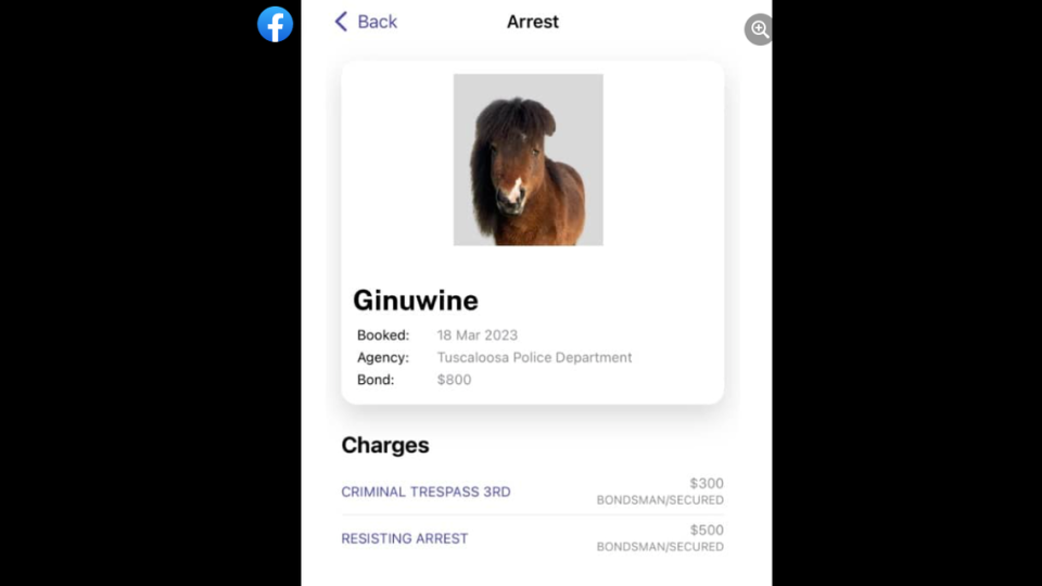 Ginuwine now has an official criminal record, complete with a mugshot and criminal charges.