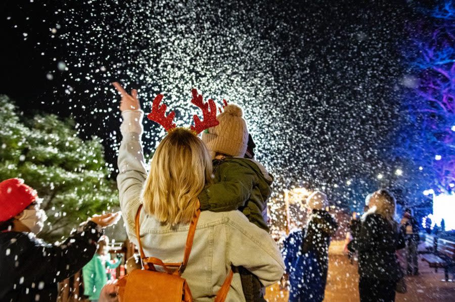 Wild Winter Lights walk through at the Cleveland Metroparks Zoo on December 11, 2020. (Kyle Lanzer/Cleveland Metroparks)