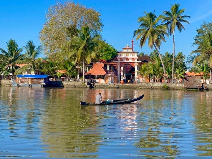 View of palm trees and still water from houseboat