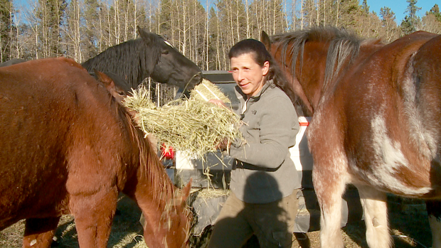 Terri Trembath/CBC