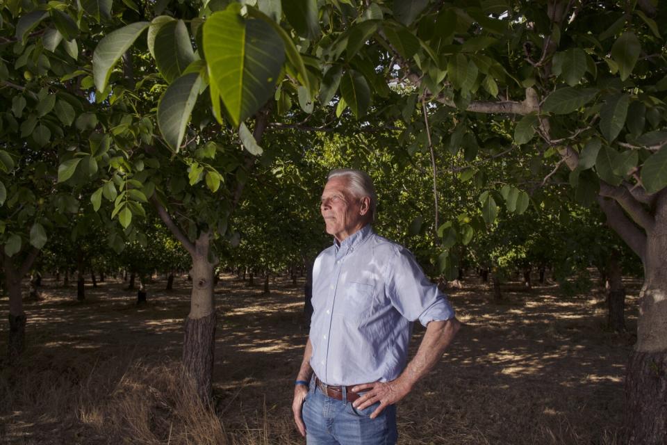 Walnut farmer Craig McNamara poses for portraits on his farm.