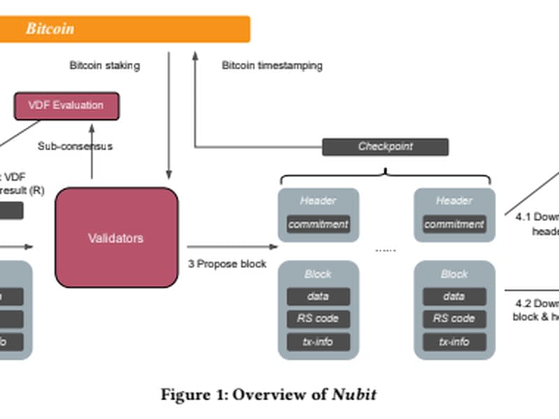 Schematic from Nubit 