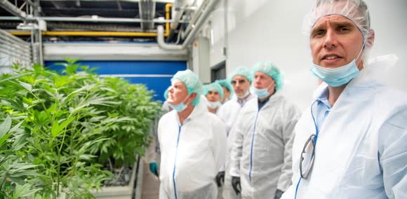 Group of people wearing white coats and surgical masks in front of a stand of cannabis plants.