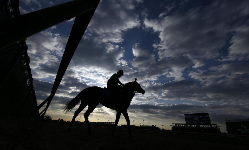 A horse goes for a morning workout at Churchill Downs Saturday, May 3, 2014, in Louisville, Ky. The 140th Kentucky Derby will be run on Saturday at Churchill Downs. The scheduled post time is 6:24 p.m. EDT. (AP Photo/Matt Slocum)