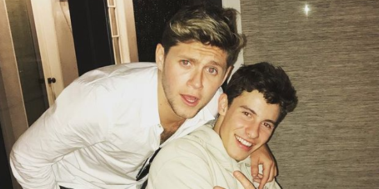 Photo credit: niallhoran - Instagram