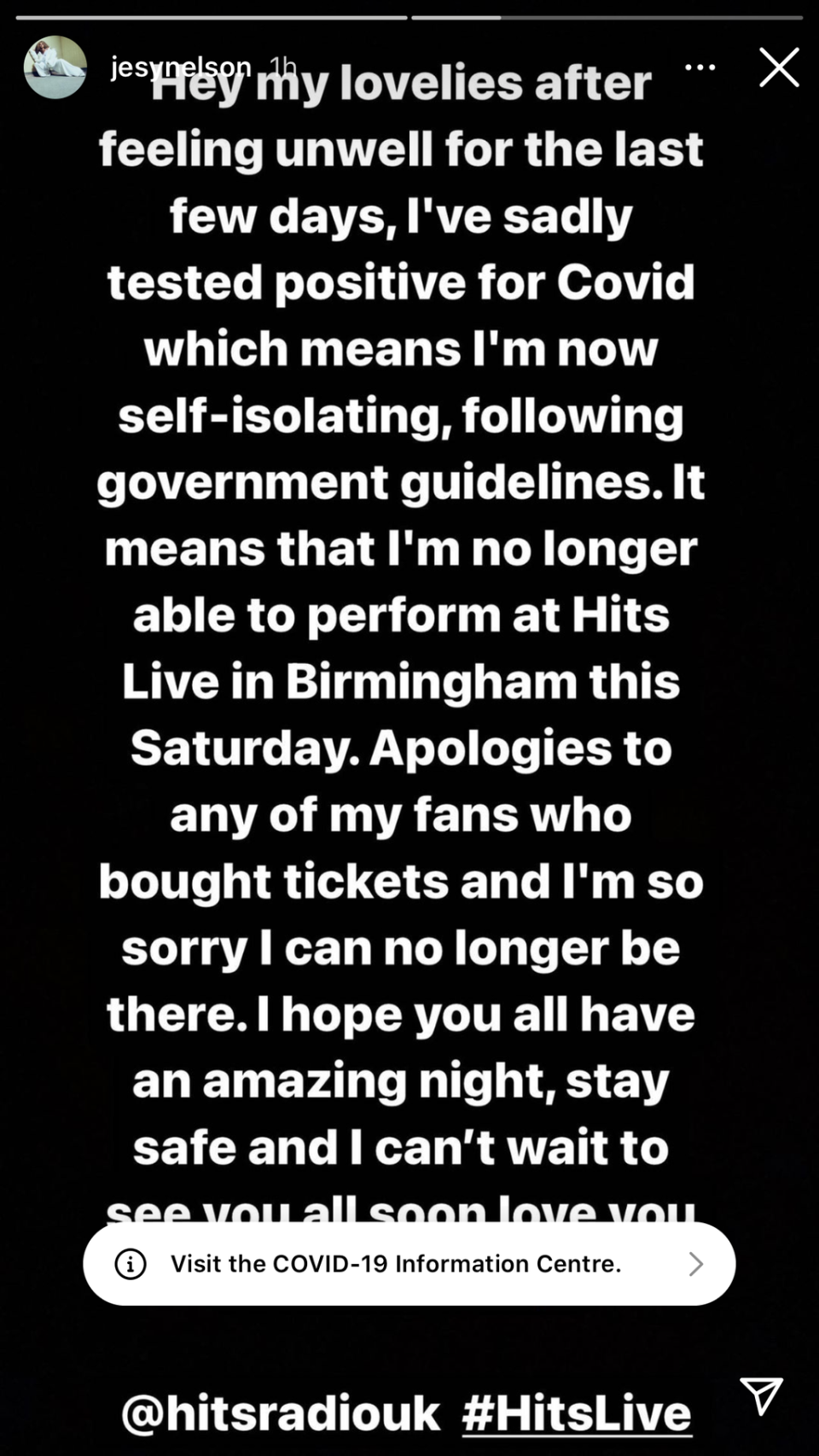 The singer apologised to fans in an Instagram story (Jesy Nelson/Instagram)