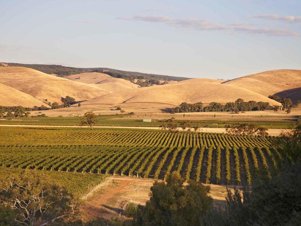 The view from the Novotel Barossa Valley