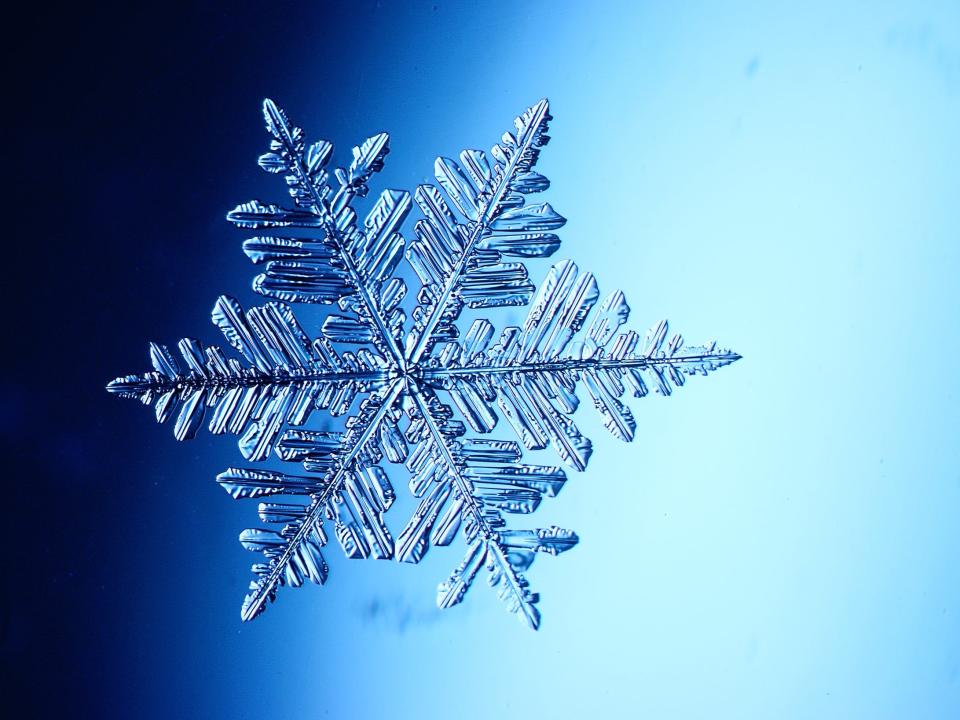 Closeup of an intricate clear snowflake in front of a blue background.