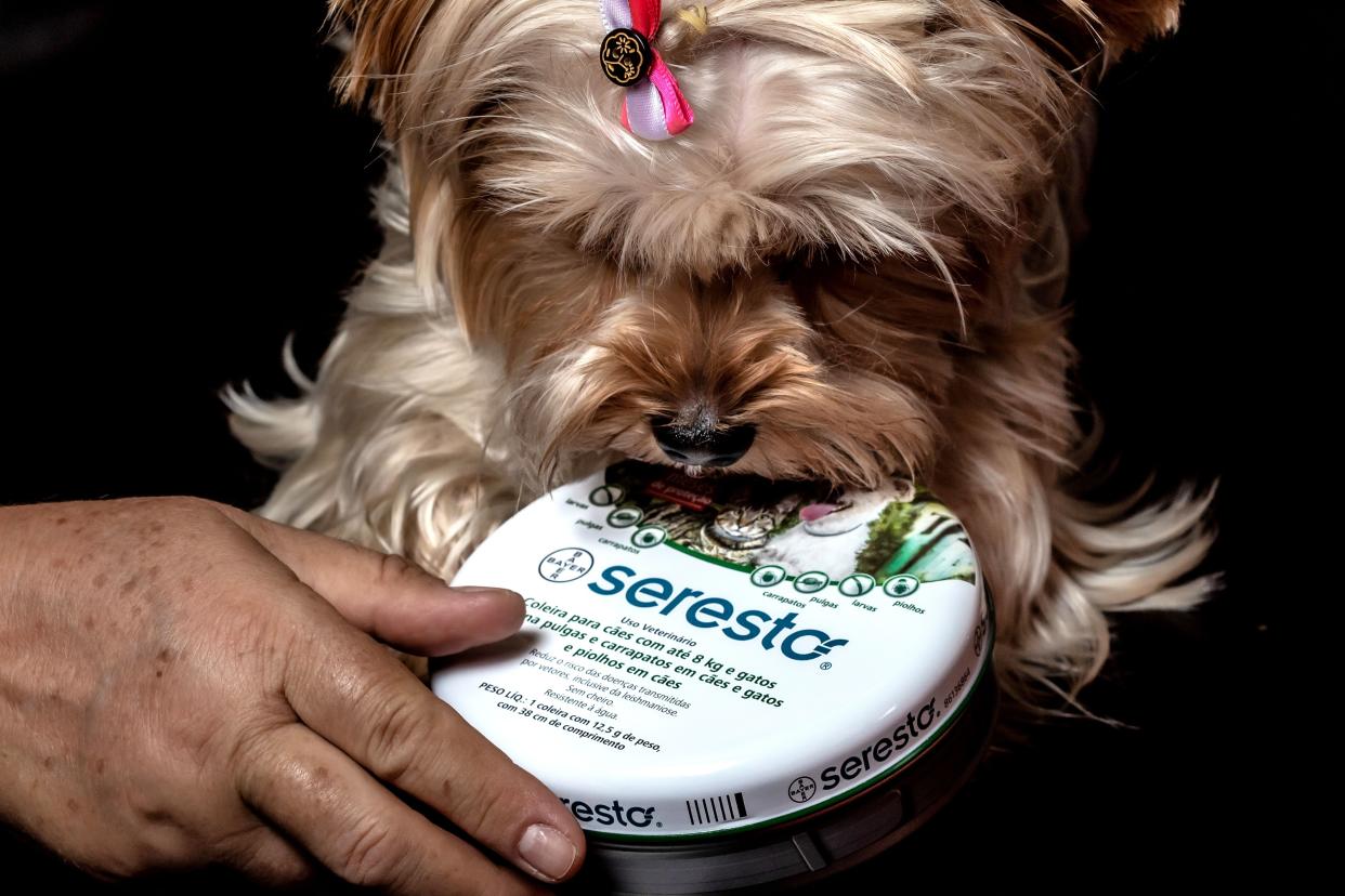 A new report reveals that Seresto flea and tick collars have been linked to the deaths of nearly 1,700 pets.