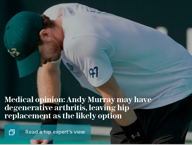 Andy Murray hip medical opinion