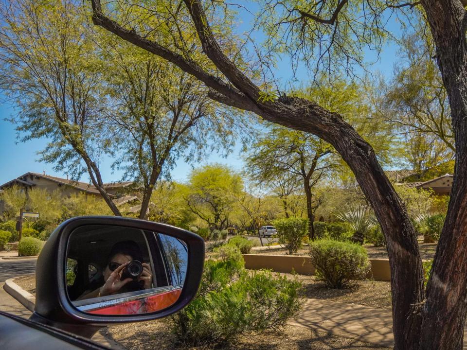 A shady neighborhood is seen from the passenger window of a car with the author visible in the side mirror on the left