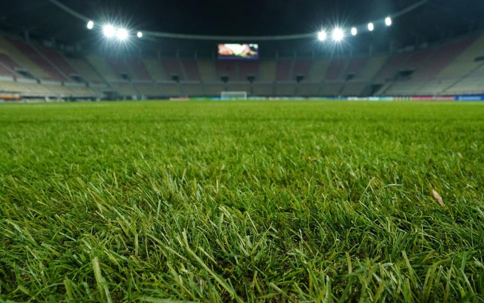 A close-up view of the pitch that is causing players and clubs some worry