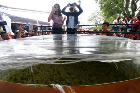 Women take pictures of a massive bowl of the new Guinness World Record largest serving of guacamole, in Concepcion de Buenos Aires, Jalisco, Mexico September 3, 2017. REUTERS/Fernando Carranza