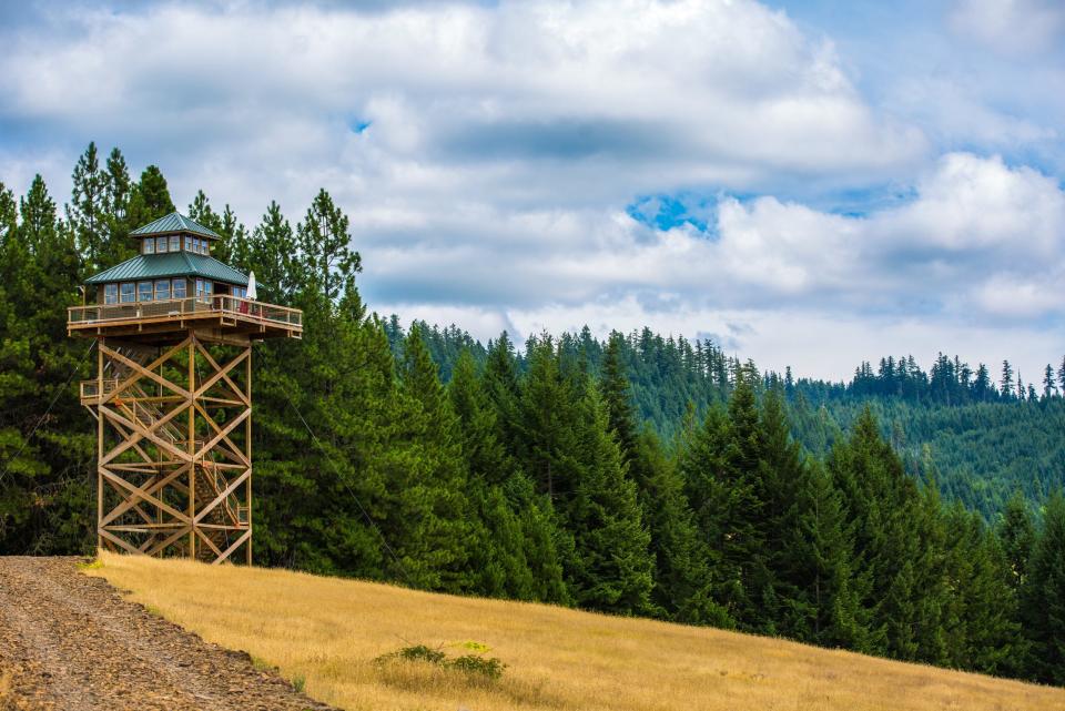 oregon airbnb view of property with forest in the background