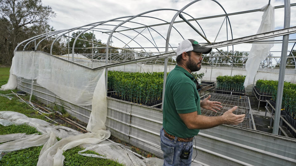 Fifth generation farmer Roy Petteway surveys the damage to his citrus greenhouse from the effects of Hurricane Ian Wednesday, Oct. 12, 2022, in Zolfo Springs, Fla. (AP Photo/Chris O'Meara)