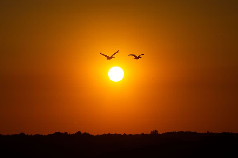 Forecasters say that "heatwave conditions" will sweep the country in the early part of next week