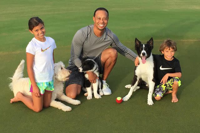 <p>Tiger Woods/Instagram</p> Tiger Woods, Charlie Woods and Sam Woods in 2015