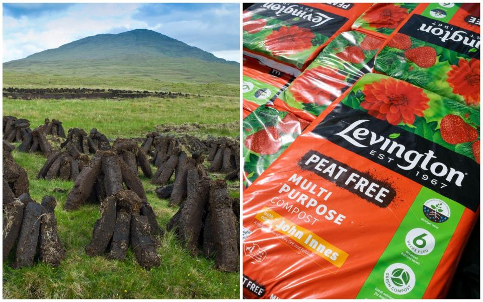 Peat compost vs peat-free compost