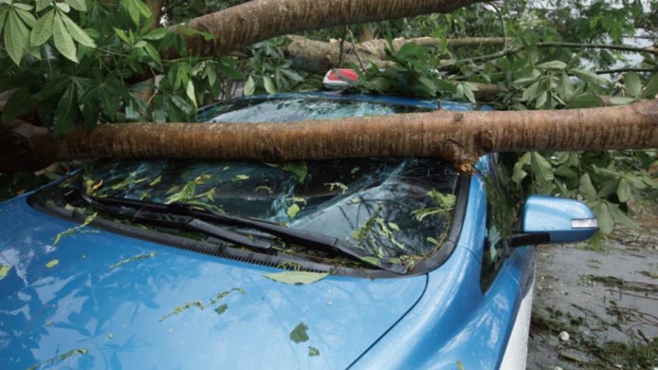 車輛要盡量避免停放在容易被砸到的地區。(圖片來源/ 新安東京海上產險)