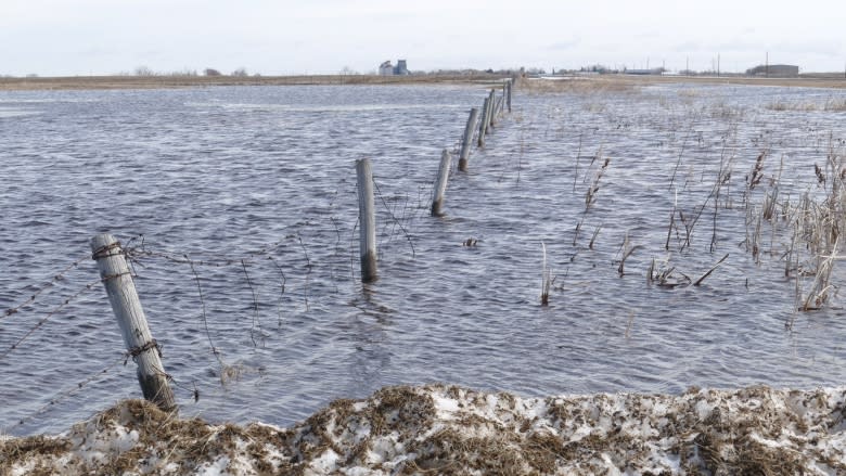 Flood damage to roads, culverts estimated in the millions in southwestern Manitoba