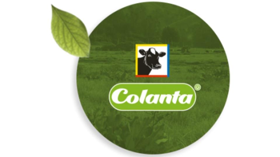 Colanta elevó sus ingresos en 2023. Imagen: Colanta