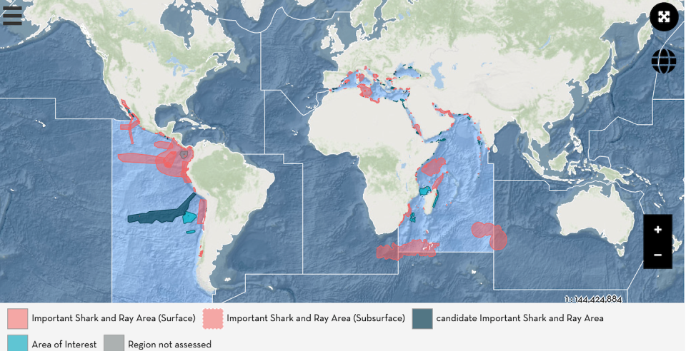 The current version of the online atlas of Important Shark and Ray Areas. The atlas is organized by region, showing which parts of the world’s oceans and coasts have been assessed. <a href="https://sharkrayareas.org/" rel="nofollow noopener" target="_blank" data-ylk="slk:Important Shark and Ray Areas initiative;elm:context_link;itc:0;sec:content-canvas" class="link ">Important Shark and Ray Areas initiative</a>, <a href="http://creativecommons.org/licenses/by-nd/4.0/" rel="nofollow noopener" target="_blank" data-ylk="slk:CC BY-ND;elm:context_link;itc:0;sec:content-canvas" class="link ">CC BY-ND</a>