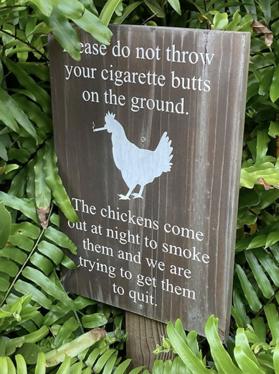 please don't throw your cigarette butts on the ground with an outline of a chicken smoking