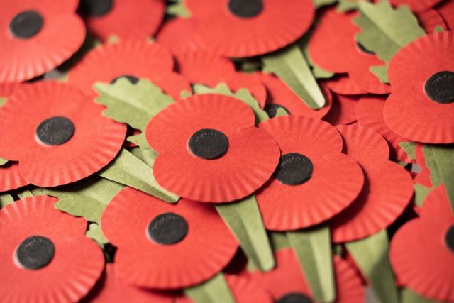 When is Remembrance Day 2023 and when do you start wearing a poppy?