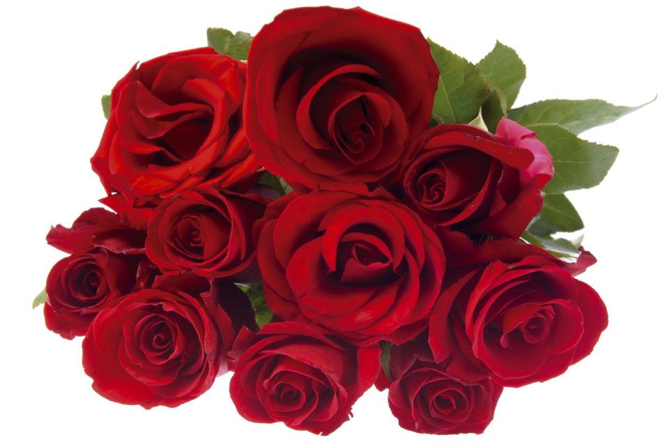 bouquet of red roses