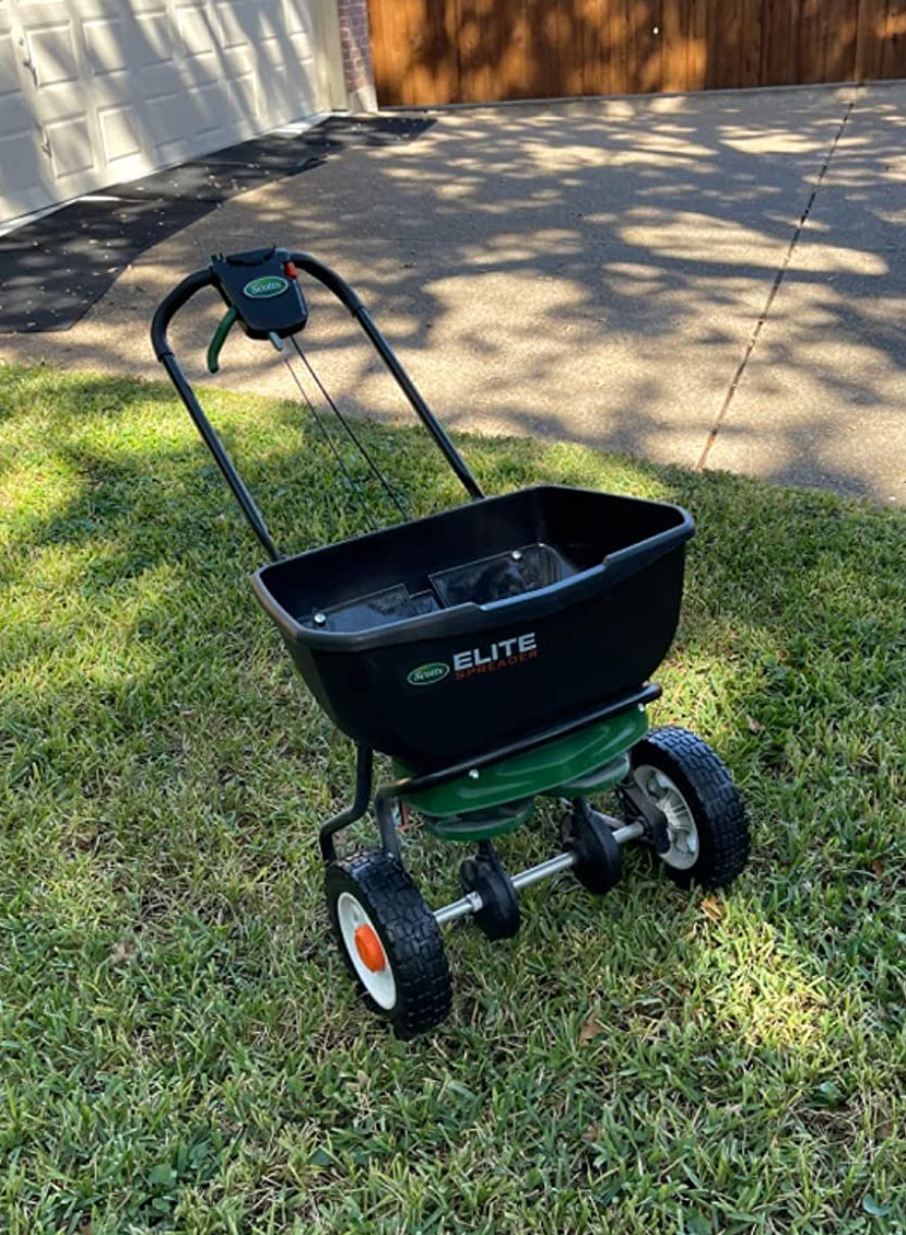 a reviewer photo of the turf builder on a lawn 