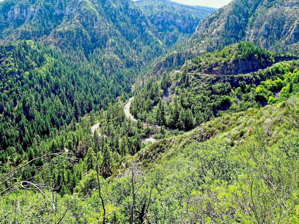 Climbing out of Oak Creek Canyon north of Sedona, State Route 89A switchbacks up the steep walls to reach the ponderosa pine forests surrounding Flagstaff.