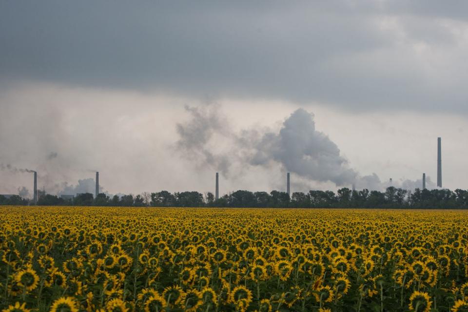 The Avdiivka Coke Plant is seen behind a sunflower field in Avdiivka, Ukraine on July 28, 2015. (Oleksii Furman/Getty Images)
