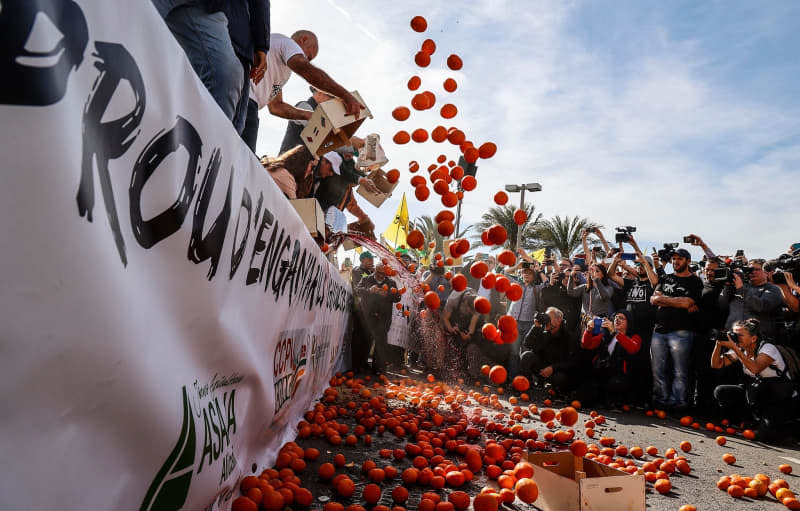 Farmers throw tomatoes during a farmers protest to denounce their conditions and the European agricultural policy. Rober Solsona/EUROPA PRESS/dpa