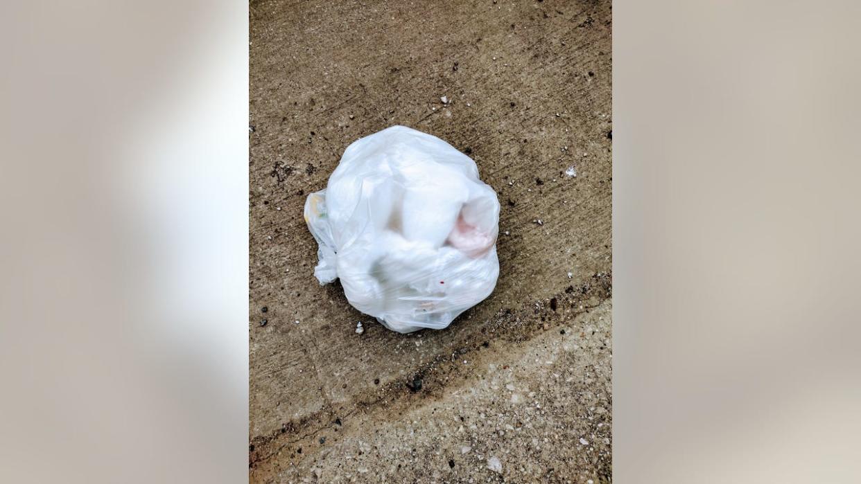 <div>Pictures of adult dirty diapers found off Studewood Street in the Heights area. (Submitted photo)</div>