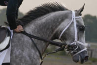 Tapit Trice trains ahead of the Belmont Stakes horse race, Wednesday, June 7, 2023, at Belmont Park in Elmont, N.Y. (AP Photo/John Minchillo)