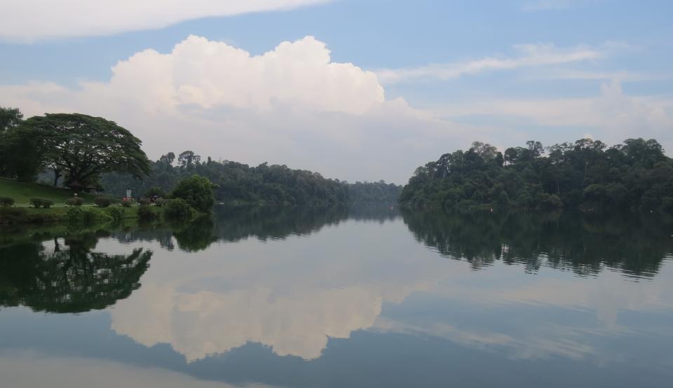 property-near-popular-parks-in-singapore-macritchie (2)