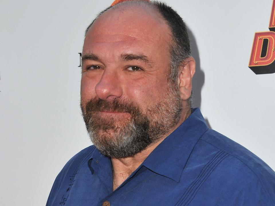 James Gandolfini in 2013.