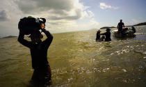 <p>In this screen grab made from video on Wednesday, Oct. 4, 2017, scientists return to land from Cayo Santiago, known as Monkey Island, in Puerto Rico. After the passing of Hurricane Maria, the university staff and local employees who keep Monkey Island running are frantically ferrying bags of chow in a tiny skiff, feeding the macaques a survival diet and trying to reassemble the rainwater collectors and drinking troughs that keep the animals alive in the tropical sun. (Photo: Ramon Espinosa/AP) </p>