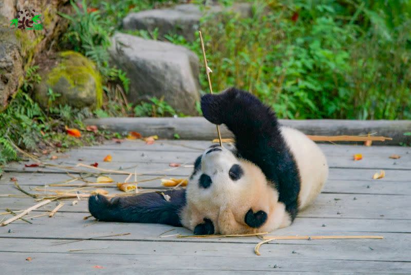 ▲一名網友抱怨自己沒做好功課，1家3口從板橋騎到現場才發現動物園不對外開放。（圖／翻攝官方網站）